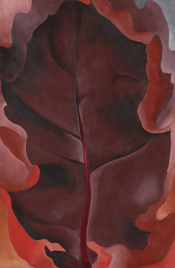 ジョージア・オキーフ《オータム・リーフ II》1927年©2025 Georgia O'Keeffe Museum/ ARS, NY / JASPAR, TokyoE6179